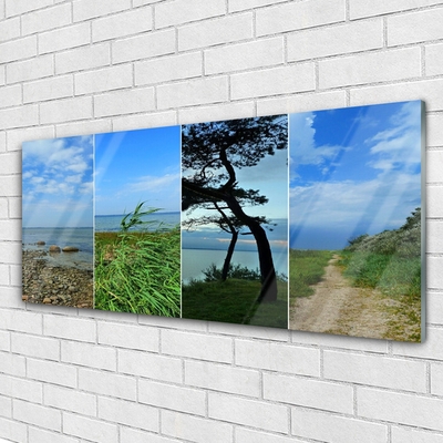 Image sur verre Tableau Plage arbre sentier paysage vert brun noir