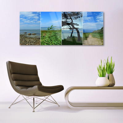 Image sur verre Tableau Plage arbre sentier paysage vert brun noir