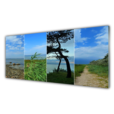 Image sur verre Tableau Plage arbre sentier paysage vert brun noir