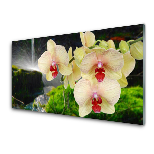 Image sur verre Tableau Arbres floral blanc rouge