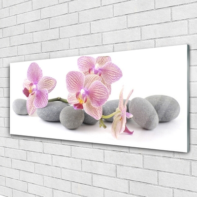 Image sur verre Tableau Arbres pierres floral rose gris