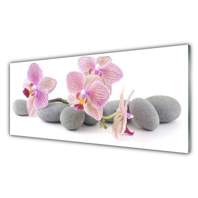 Image sur verre Tableau Arbres pierres floral rose gris