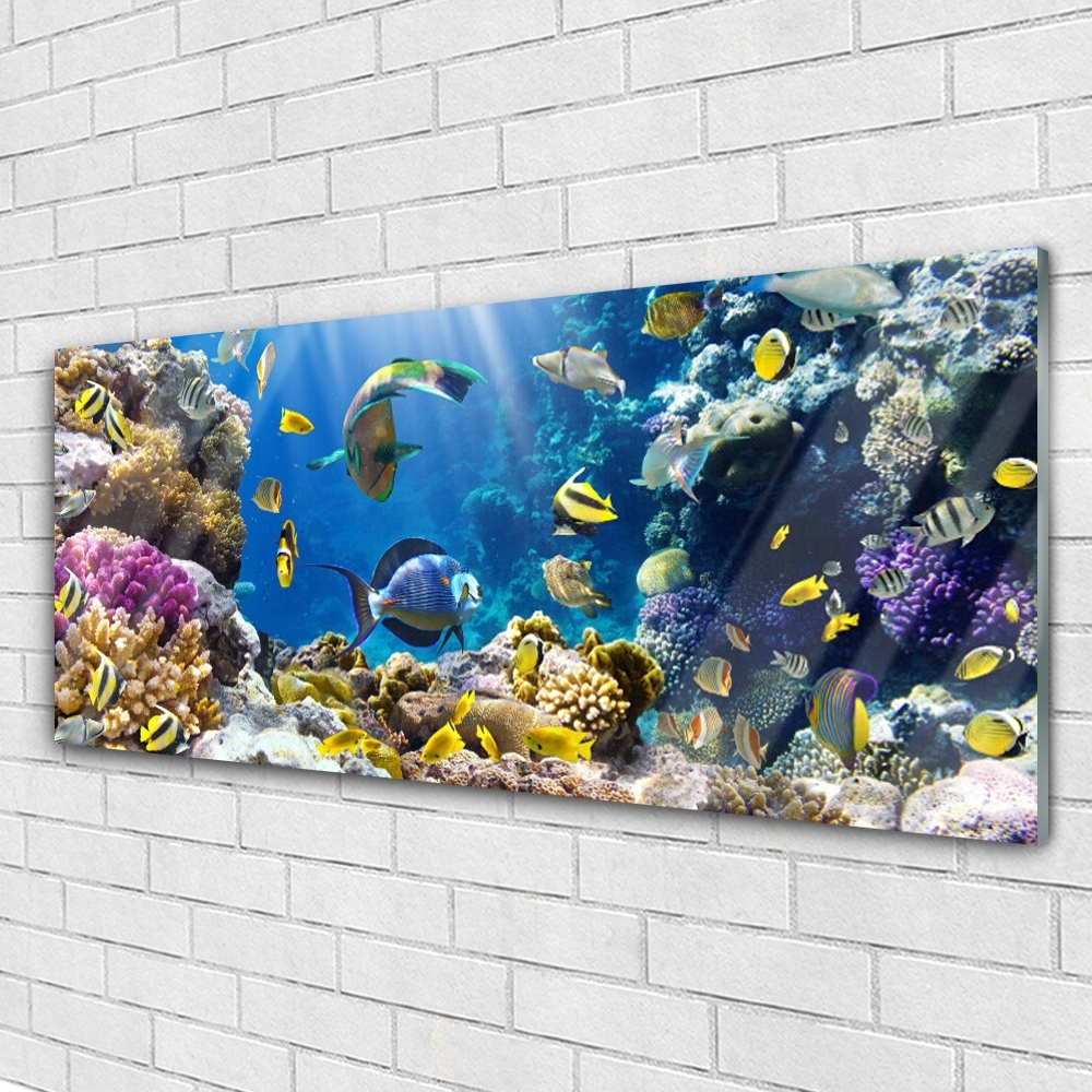 Tableau Déco Impression Sur Verre – Récif De Corail – 140x50 Cm – ARTTOR