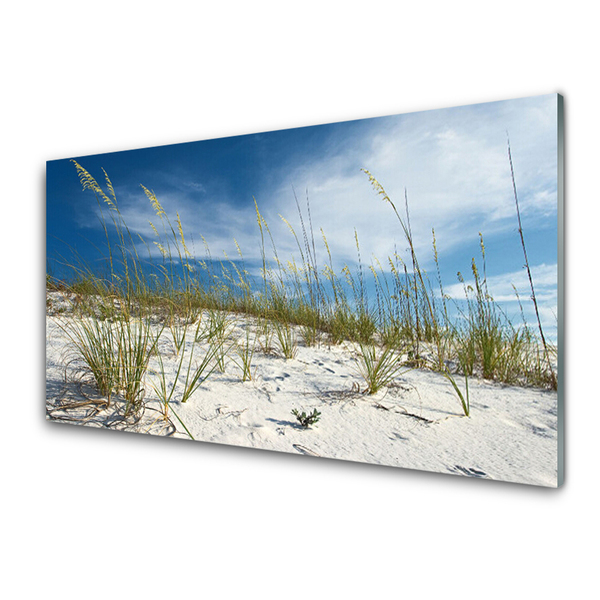 Image sur verre Tableau Plage paysage brun vert