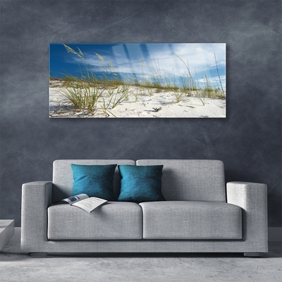 Image sur verre Tableau Plage paysage brun vert