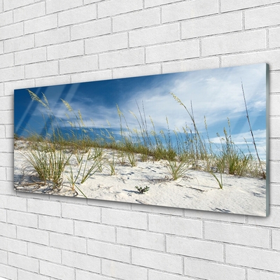 Image sur verre Tableau Plage paysage brun vert