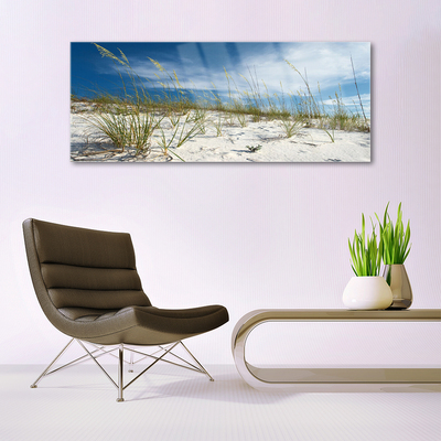 Image sur verre Tableau Plage paysage brun vert