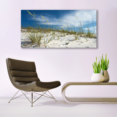 Image sur verre Tableau Plage paysage brun vert