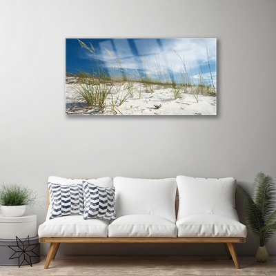 Image sur verre Tableau Plage paysage brun vert