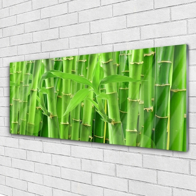 Image sur verre Tableau Bambou tige floral vert