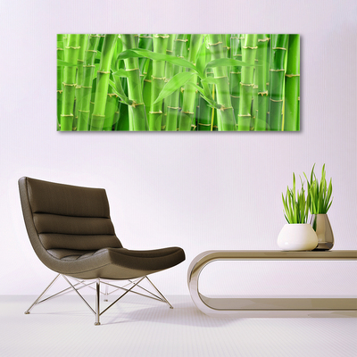 Image sur verre Tableau Bambou tige floral vert