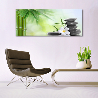 Image sur verre Tableau Bambou tige fleur pierres art vert blanc noir