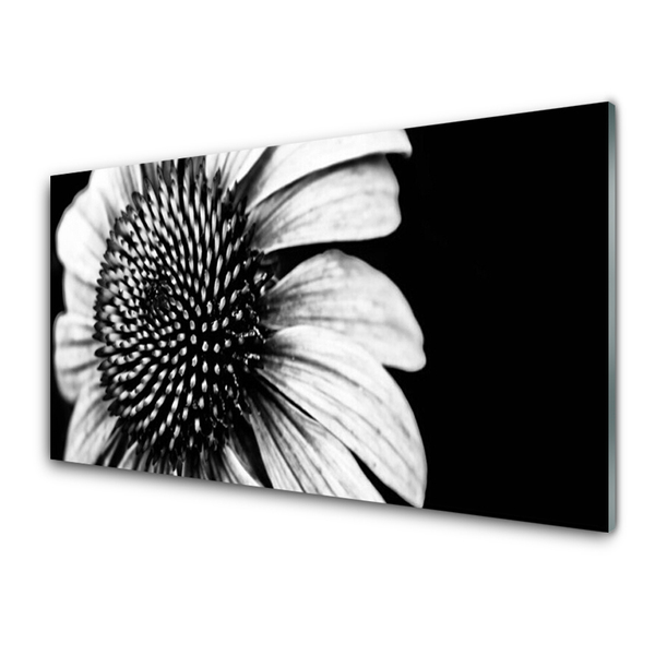 Image sur verre Tableau Fleur floral gris