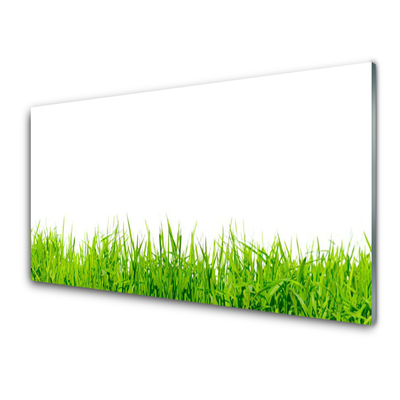 Image sur verre Tableau Herbe nature vert