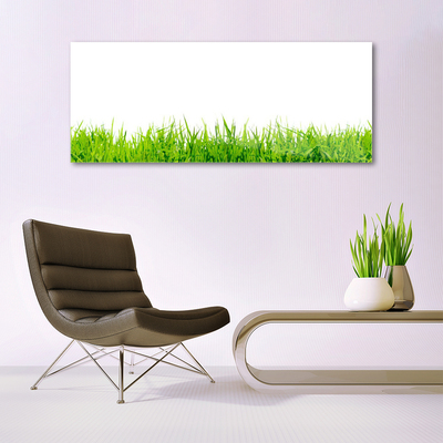 Image sur verre Tableau Herbe nature vert