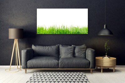 Image sur verre Tableau Herbe nature vert