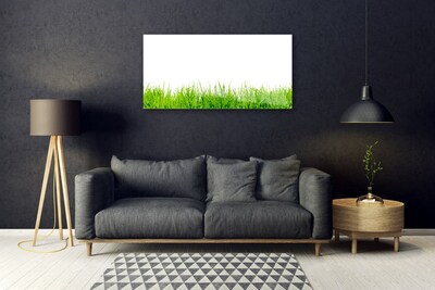 Image sur verre Tableau Herbe nature vert