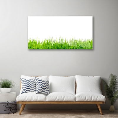 Image sur verre Tableau Herbe nature vert