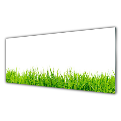 Image sur verre Tableau Herbe nature vert