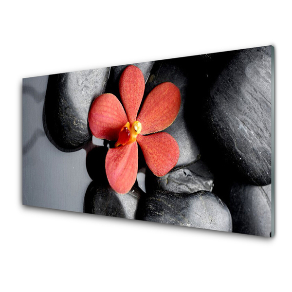 Image sur verre Tableau Fleur pierres art rouge gris