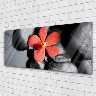 Image sur verre Tableau Fleur pierres art rouge gris