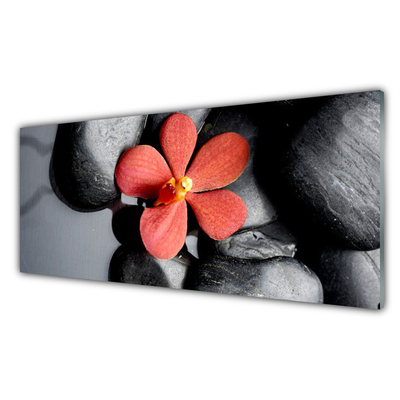 Image sur verre Tableau Fleur pierres art rouge gris