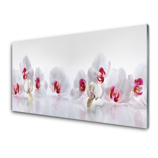 Image sur verre Tableau Fleurs floral blanc rouge