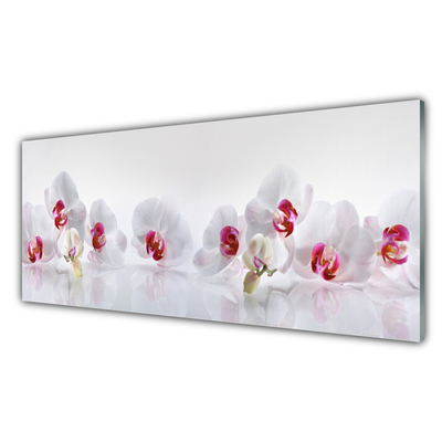 Image sur verre Tableau Fleurs floral blanc rouge
