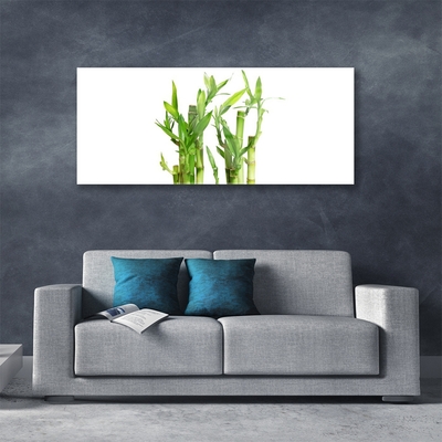 Image sur verre Tableau Bambou tige floral vert