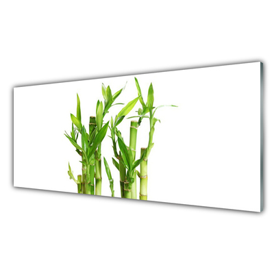 Image sur verre Tableau Bambou tige floral vert