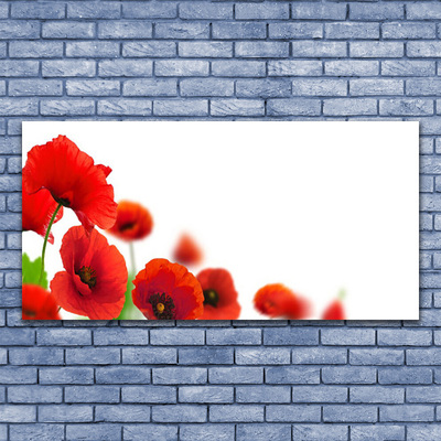 Image sur verre Tableau Coquelicots floral rouge noir vert