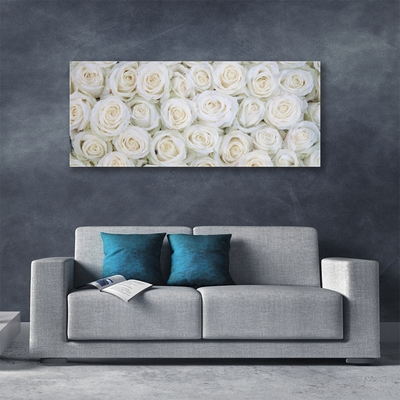 Image sur verre Tableau Roses floral blanc