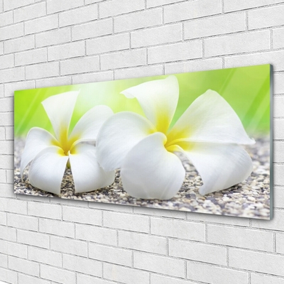 Image sur verre Tableau Fleurs floral blanc