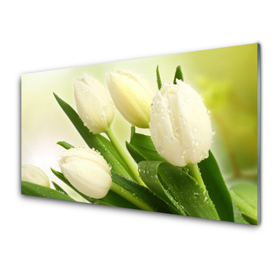 Image sur verre Tableau Tulipes floral blanc vert