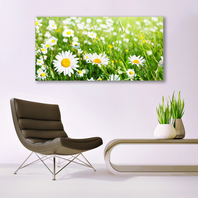 Image sur verre Tableau Marguerite floral blanc jaune vert