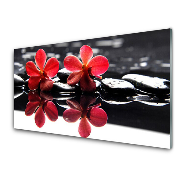 Image sur verre Tableau Fleurs pierres floral rouge noir