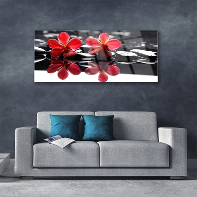 Image sur verre Tableau Fleurs pierres floral rouge noir