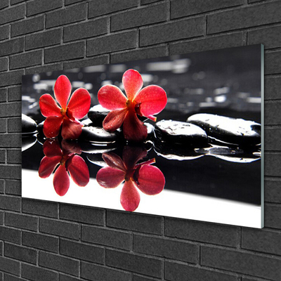 Image sur verre Tableau Fleurs pierres floral rouge noir