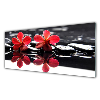 Image sur verre Tableau Fleurs pierres floral rouge noir