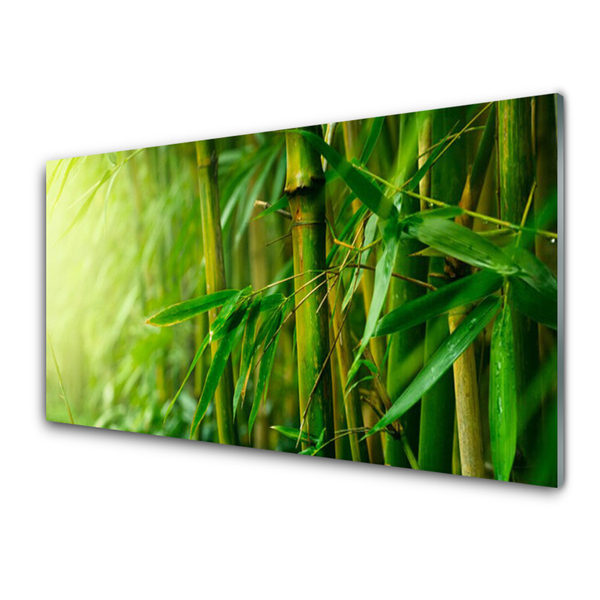 Image sur verre Tableau Bambou tige floral vert