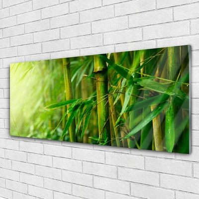 Image sur verre Tableau Bambou tige floral vert