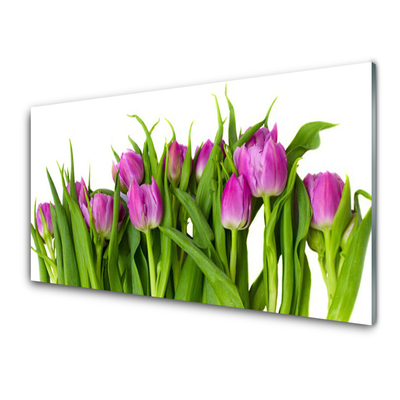 Image sur verre Tableau Tulipes floral rose vert