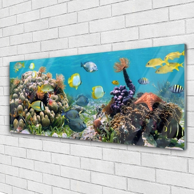 Image sur verre Tableau Récif de corail nature multicolore
