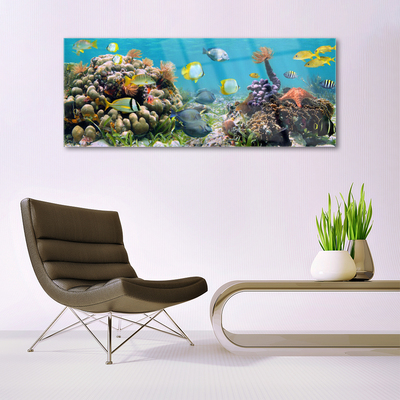 Image sur verre Tableau Récif de corail nature multicolore