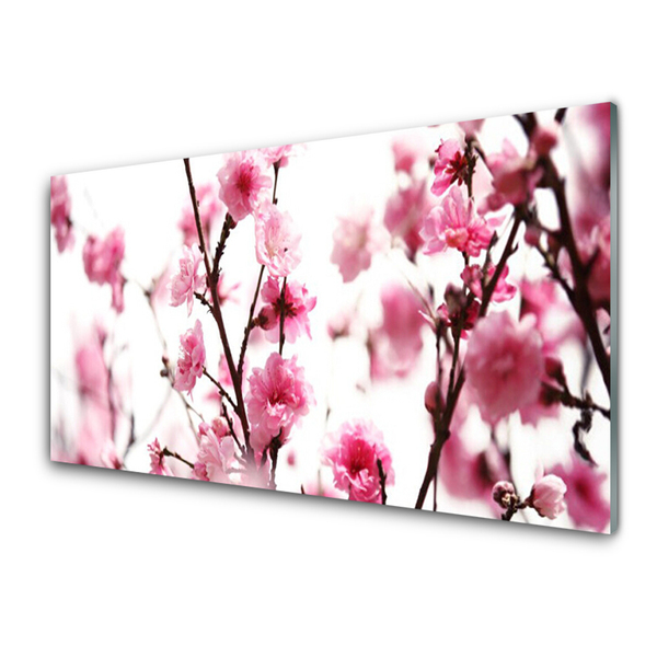 Image sur verre Tableau Branches fleurs floral brun rose