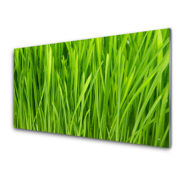 Image sur verre Tableau Herbe floral vert