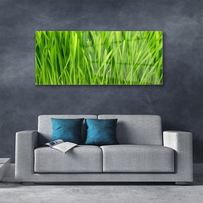 Image sur verre Tableau Herbe floral vert