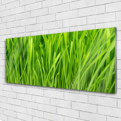 Image sur verre Tableau Herbe floral vert