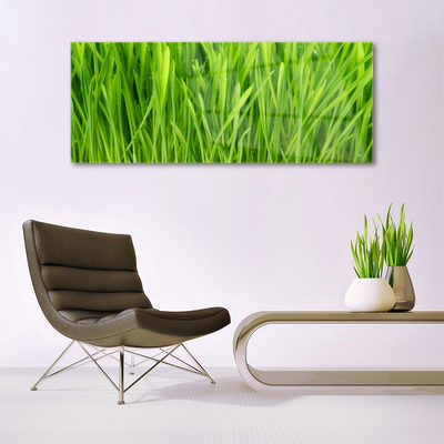 Image sur verre Tableau Herbe floral vert