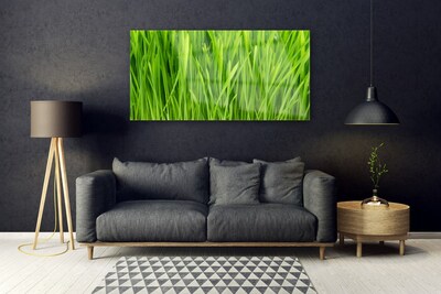 Image sur verre Tableau Herbe floral vert